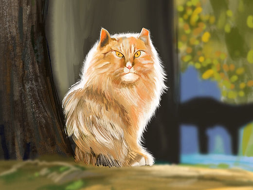 猫