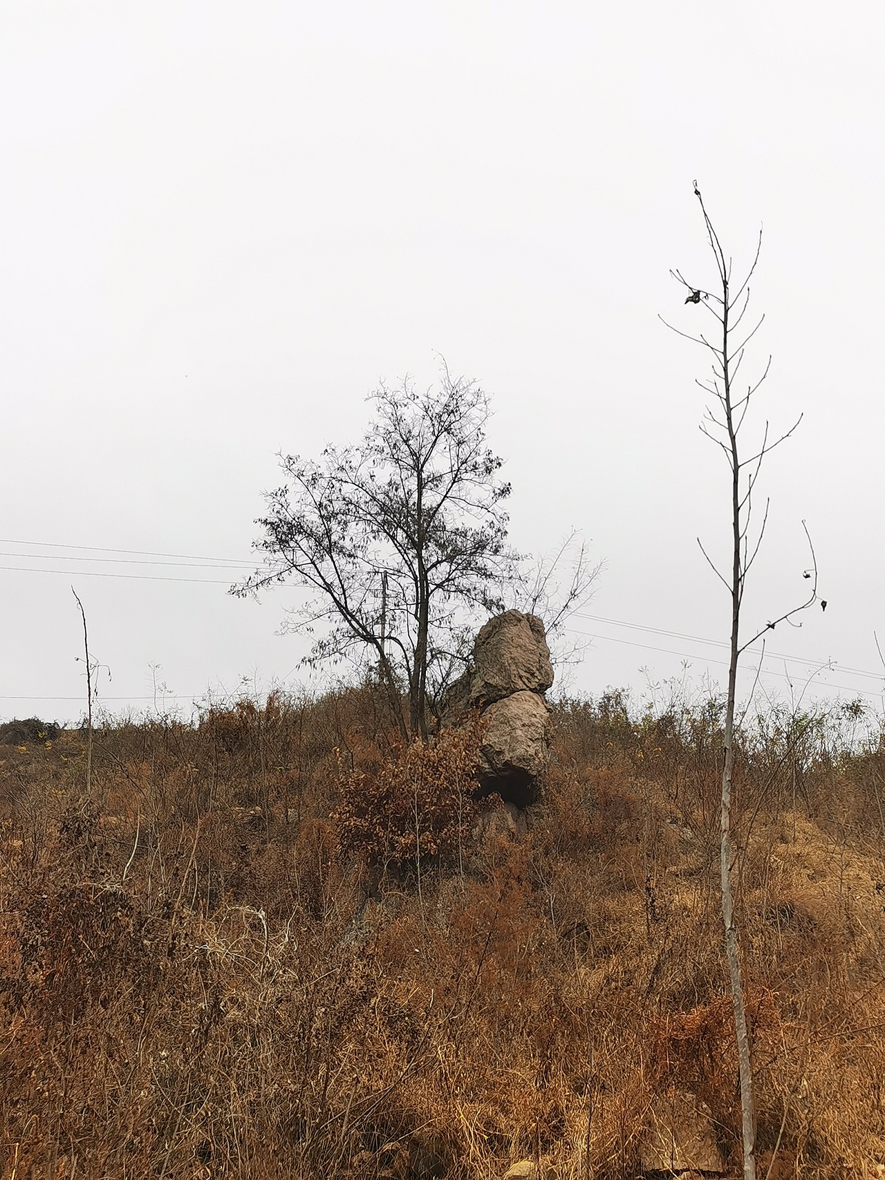 乡村（图ZMjMyNTY2NzA0） - 风光摄影 - 站酷设计师木麒麟原创素材 - 站酷ZCOOL