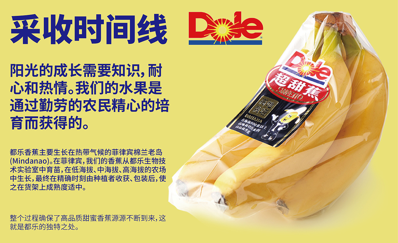 都乐香蕉喷绘设计