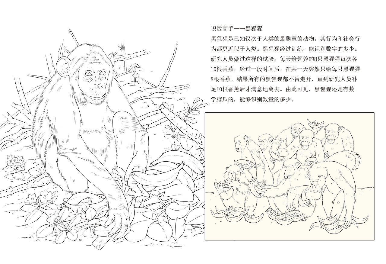 科普插画/故事插画(线稿展示)