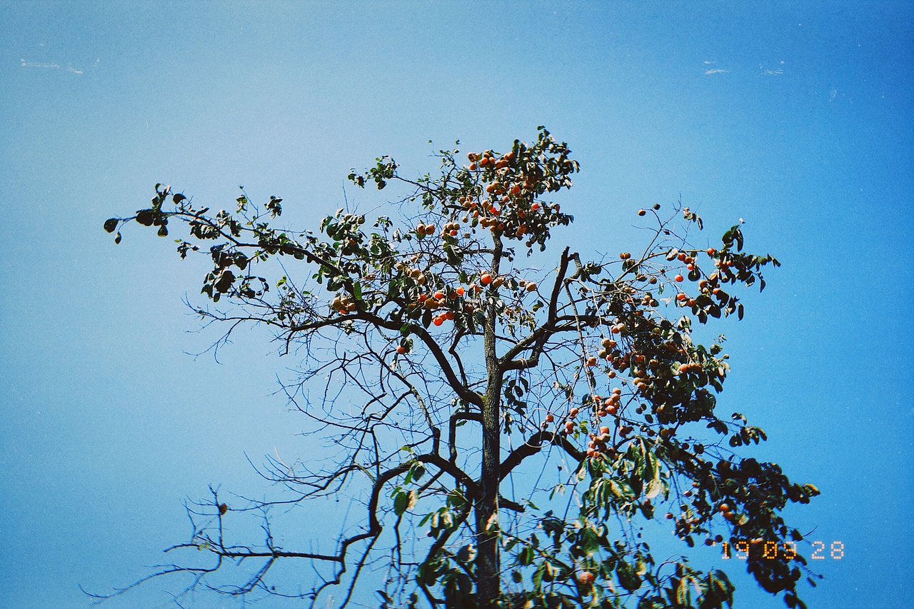 砚山 窑上村 随拍