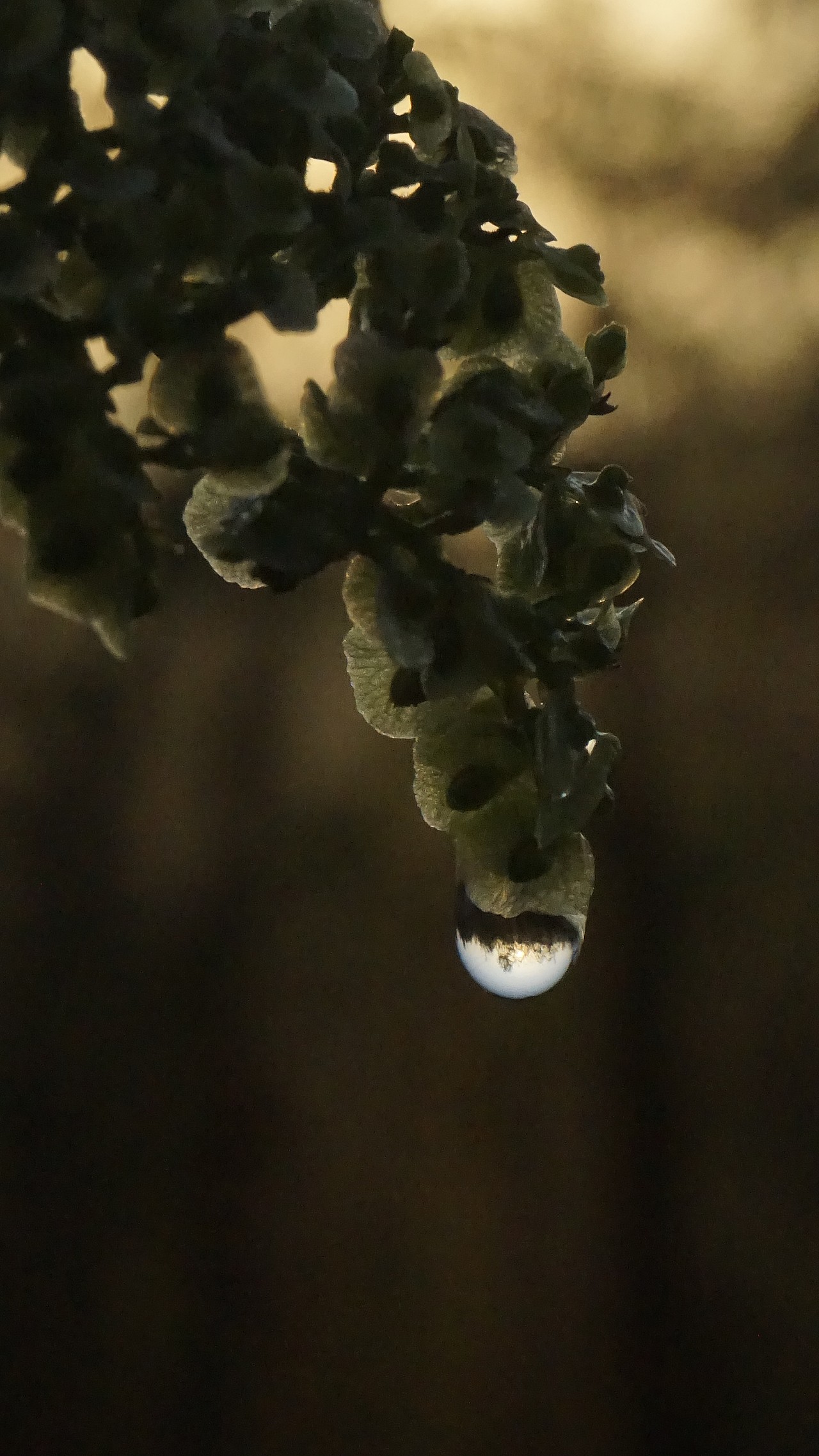 日出（图ZMTgxMTQ0OTky） - 风光摄影 - 站酷设计师北方的南边原创素材 - 站酷ZCOOL