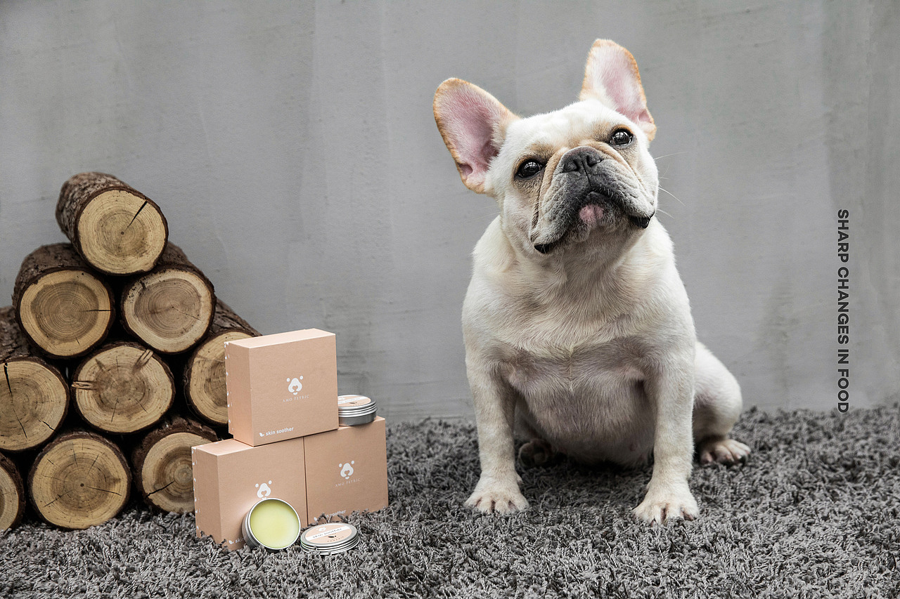 给你的狗狗不一样的爱(宠物护肤品)#IN LIGHT#