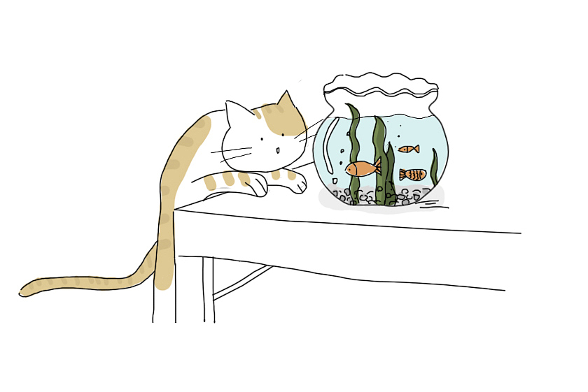 一只喜歡站肩膀上的貓（圖ZMjY0MTM3NjA0） - 創(chuàng)作習(xí)作 - 站酷設(shè)計(jì)師小君June原創(chuàng)素材 - 站酷ZCOOL