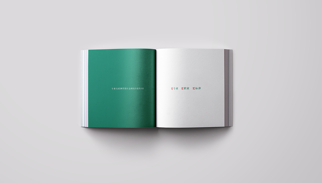 企业画册（图ZMjk0MDgxNjE2） - 书籍/画册 - 站酷设计师yanxuna原创素材 - 站酷ZCOOL