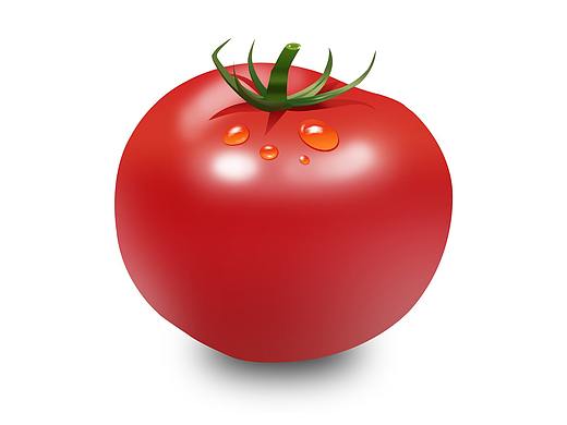西紅柿（個人主頁-ZMzgzNTczMTY=） - 其他平面 - 站酷設計師AKA_無邪原創(chuàng)素材 - 站酷ZCOOL