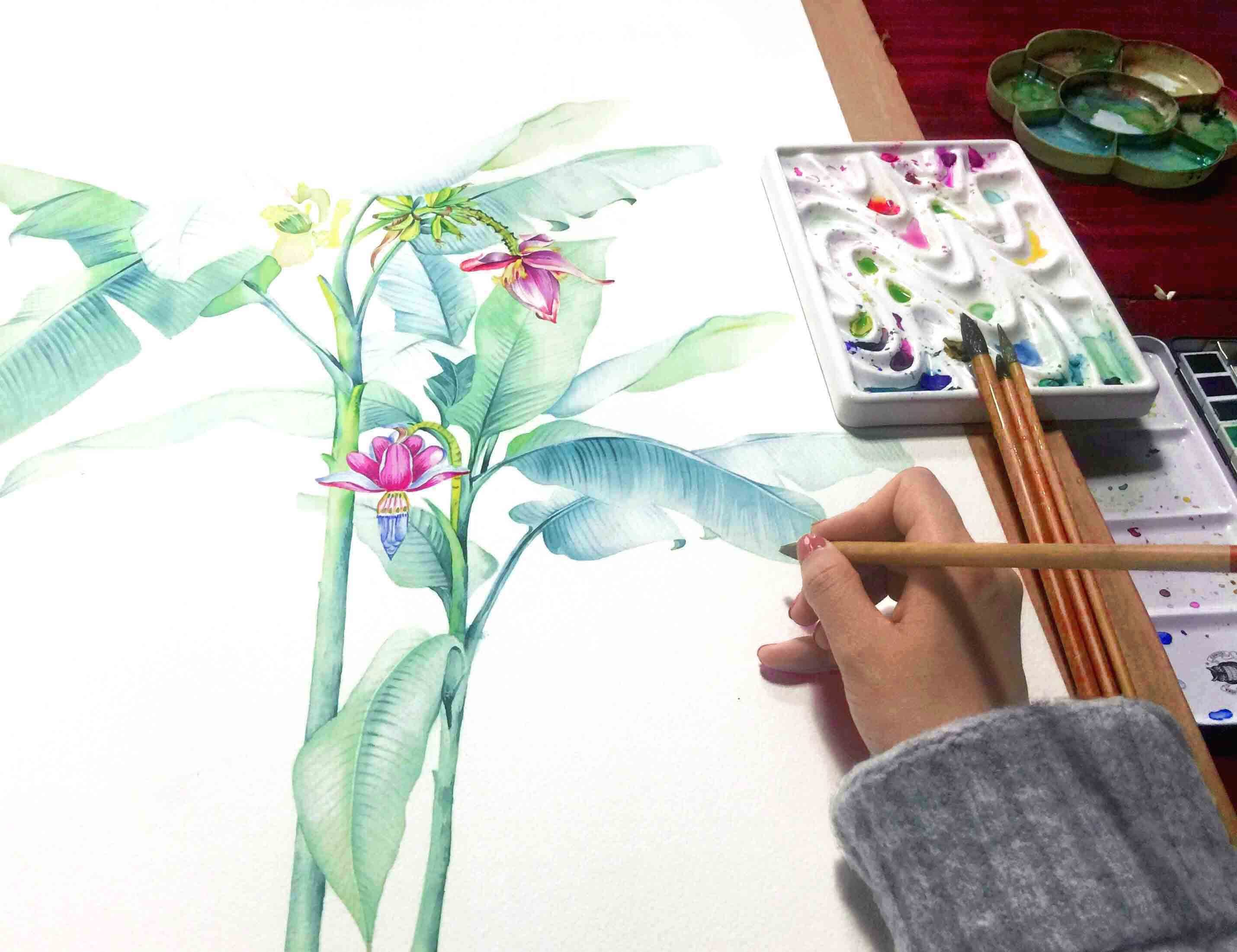 水彩 芭蕉叶 香蕉花|插画|创作习作|染九木lh - 原创作品 - 站酷