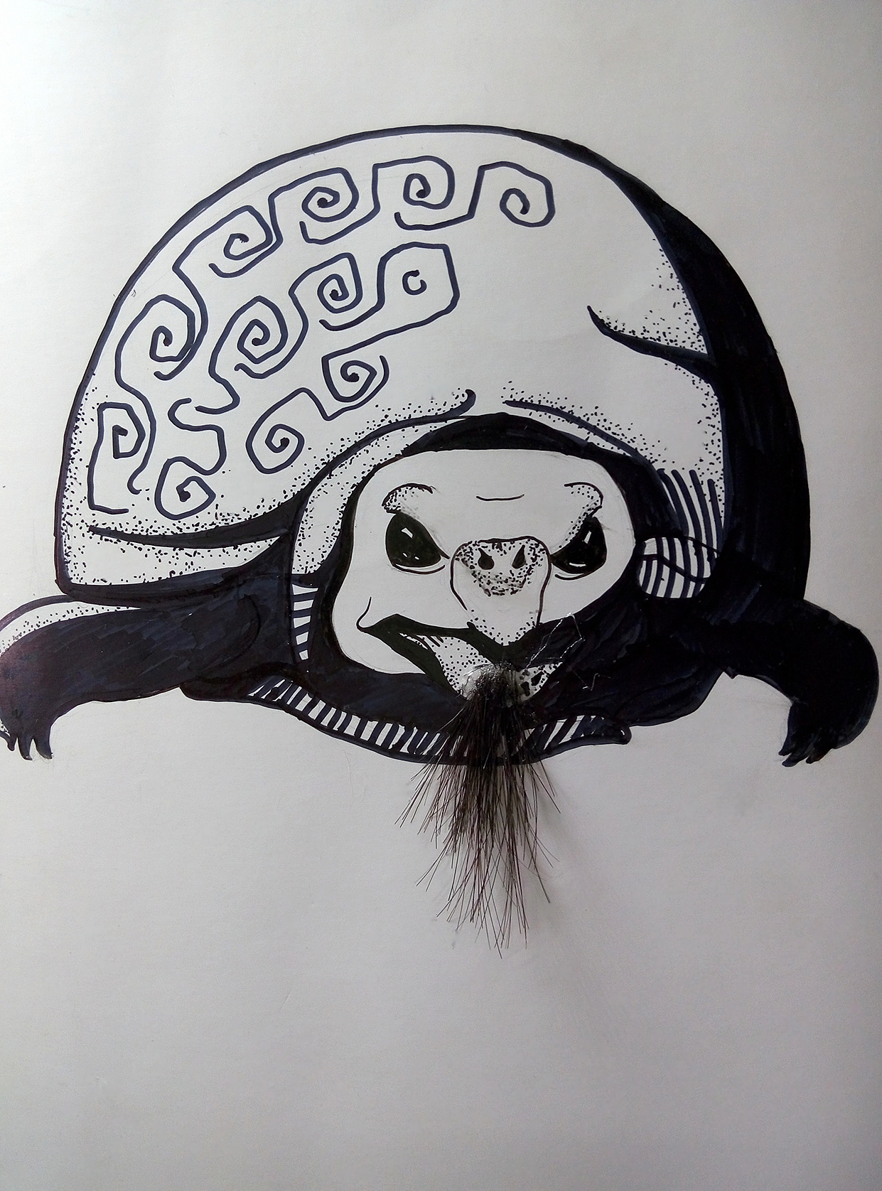 乌龟 大二图形设计作业|平面|图案|南个西瓜 - 原创作品 - 站酷