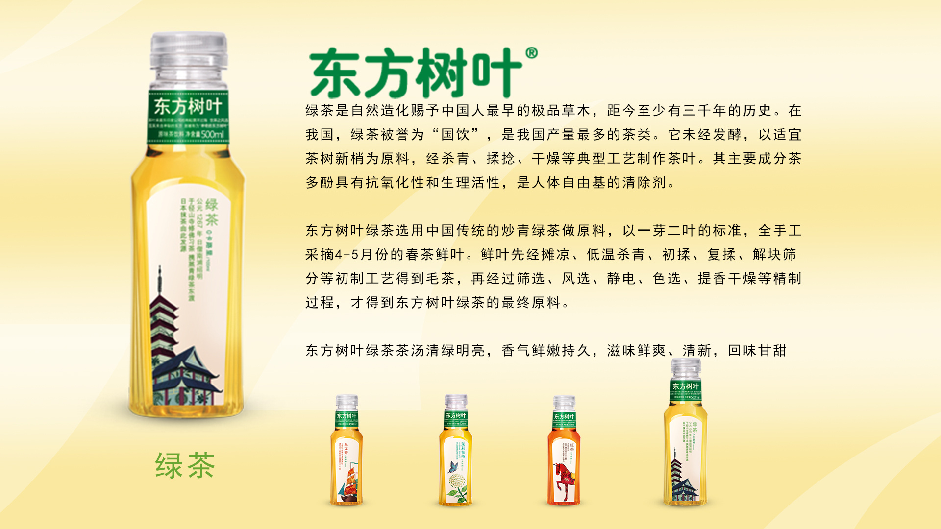 东方树叶展示设计ppt|空间|展陈设计|stab猬_原创作品-站酷zcool