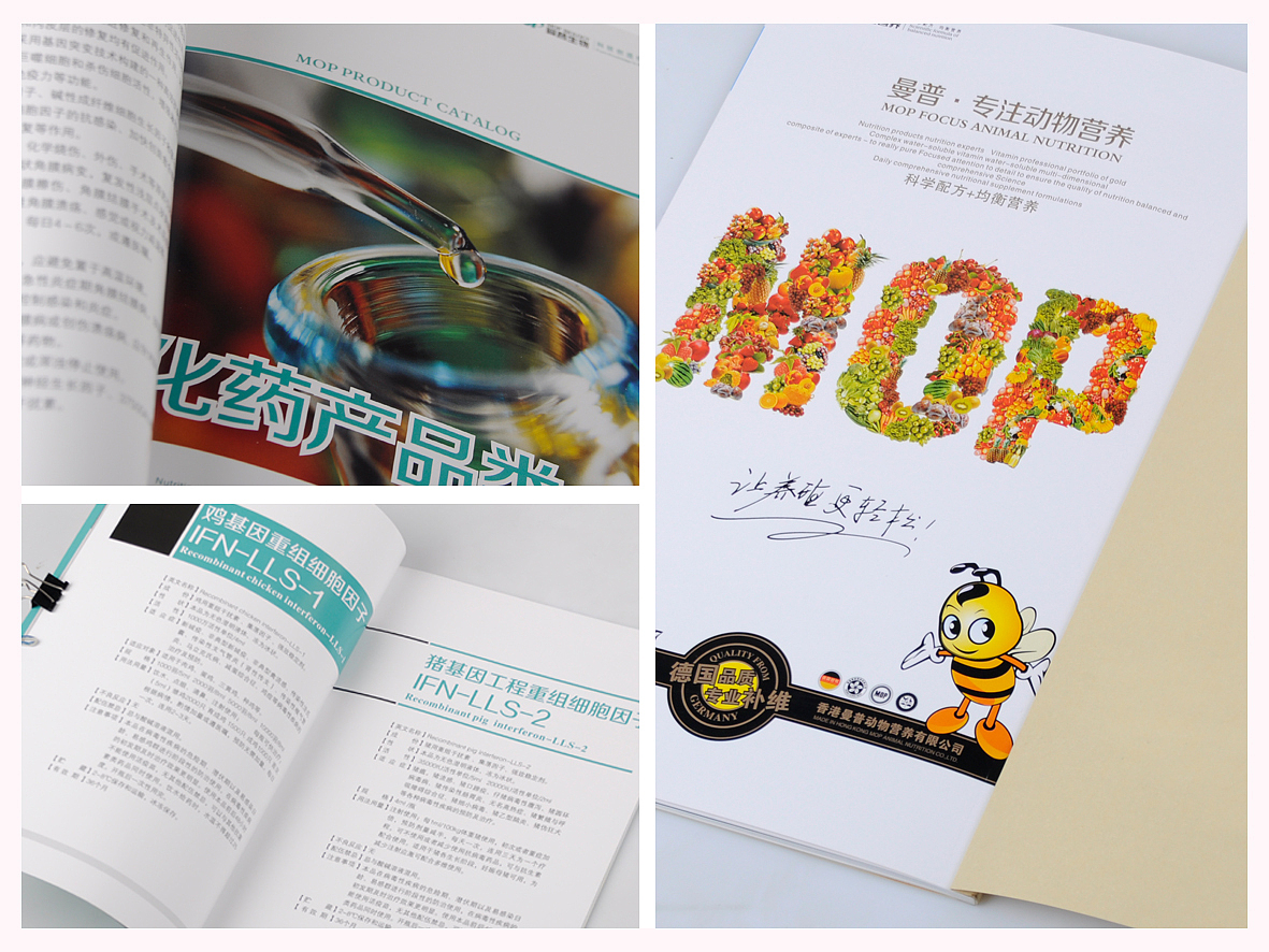 曼普生物画册设计