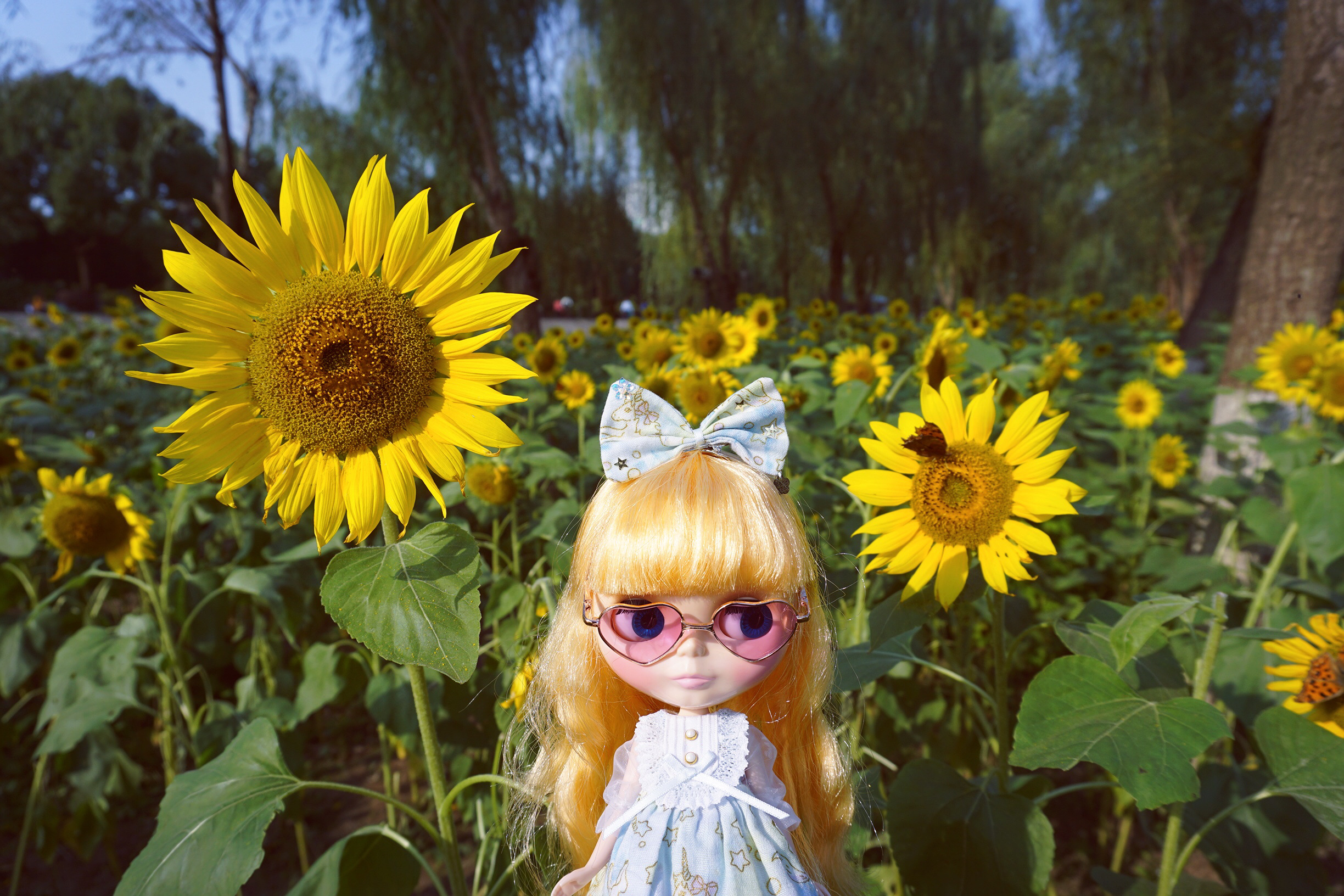 blythe 小布,我人生中的第一次拆盒外景!