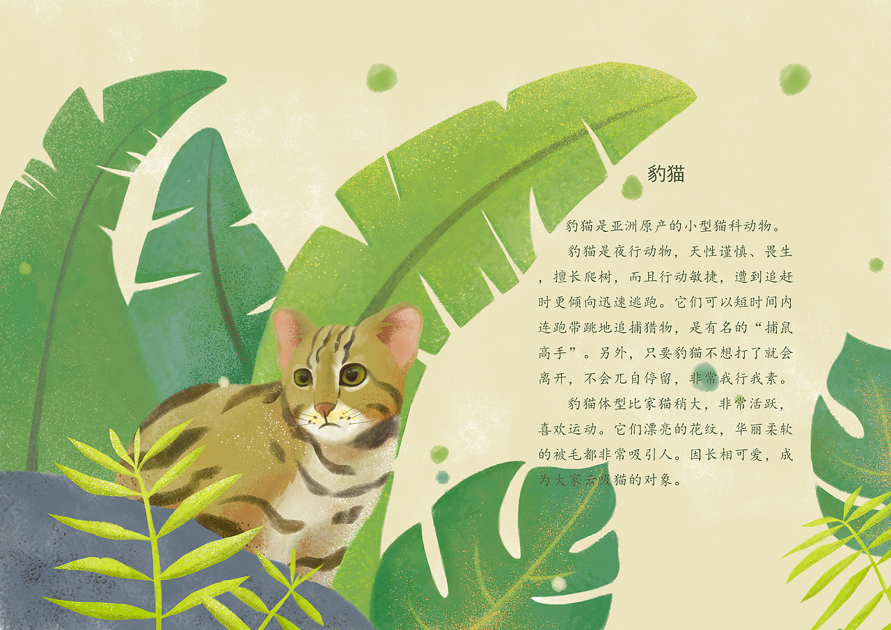 《我的野生动物朋友》之陆地篇95|插画|创作习作|virhinia_原创作品