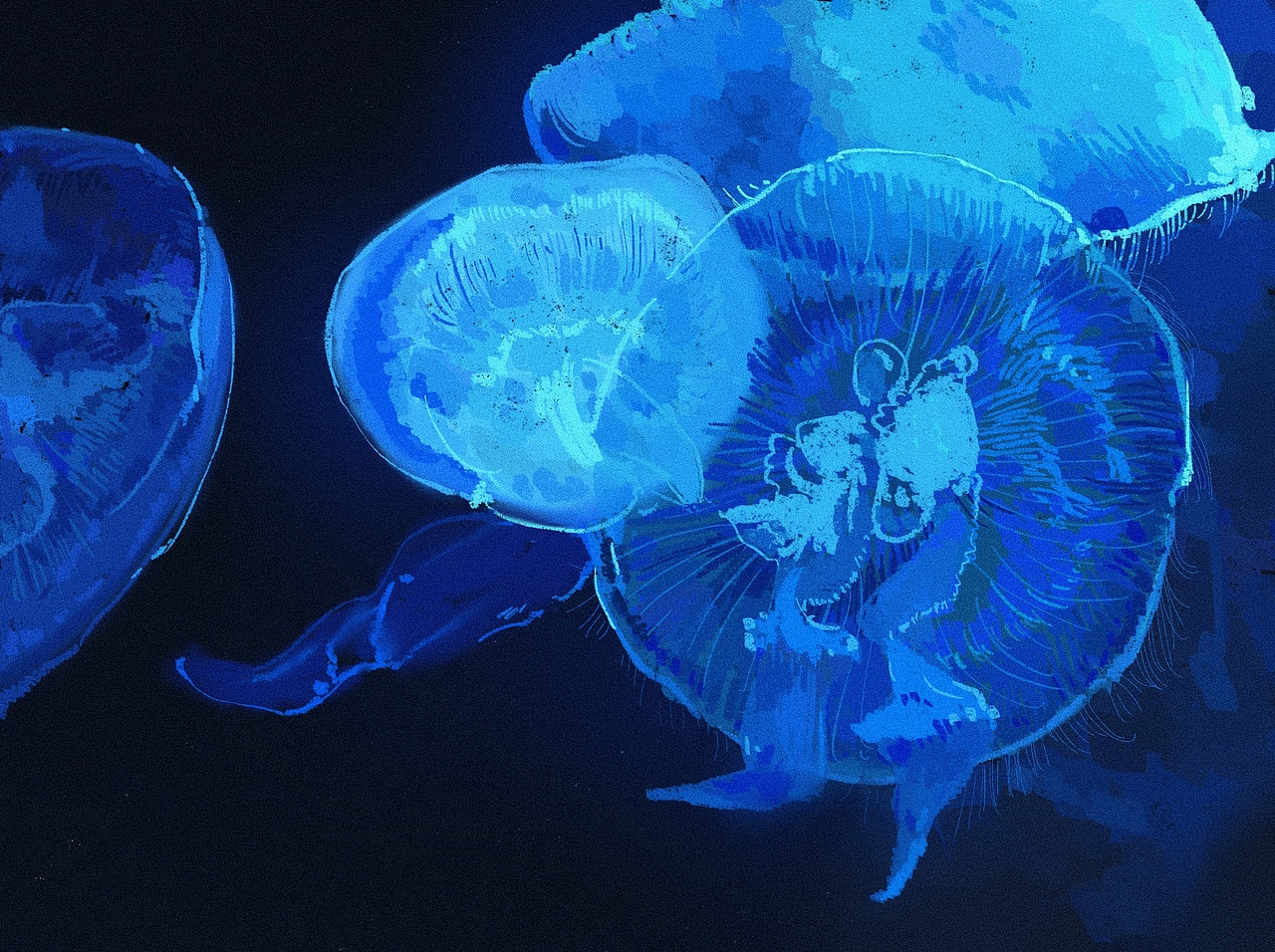 色彩打卡一个月汇总（图ZMjY5NzM3NTQw） - 创作习作 - 站酷设计师圈圈想转圈圈原创素材 - 站酷ZCOOL