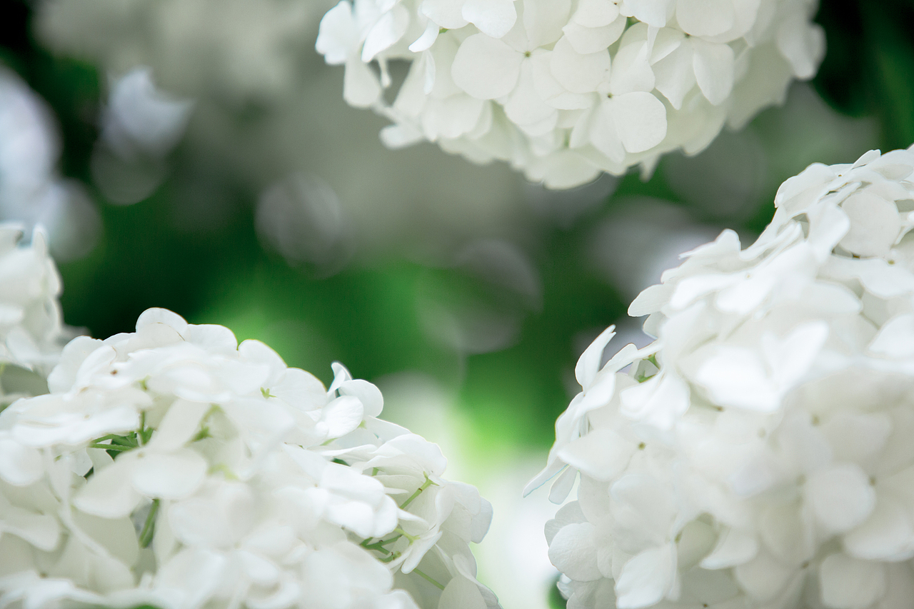 PURE WHITE（图ZNDYyNjY4ODA=） - 风光摄影 - 站酷设计师浮沉流星原创素材 - 站酷ZCOOL