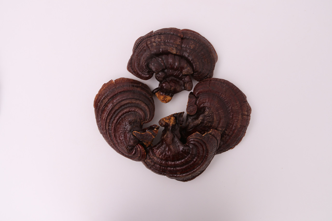 B03传统滋补品\C01-农产滋补品\V10灵芝X1-QM