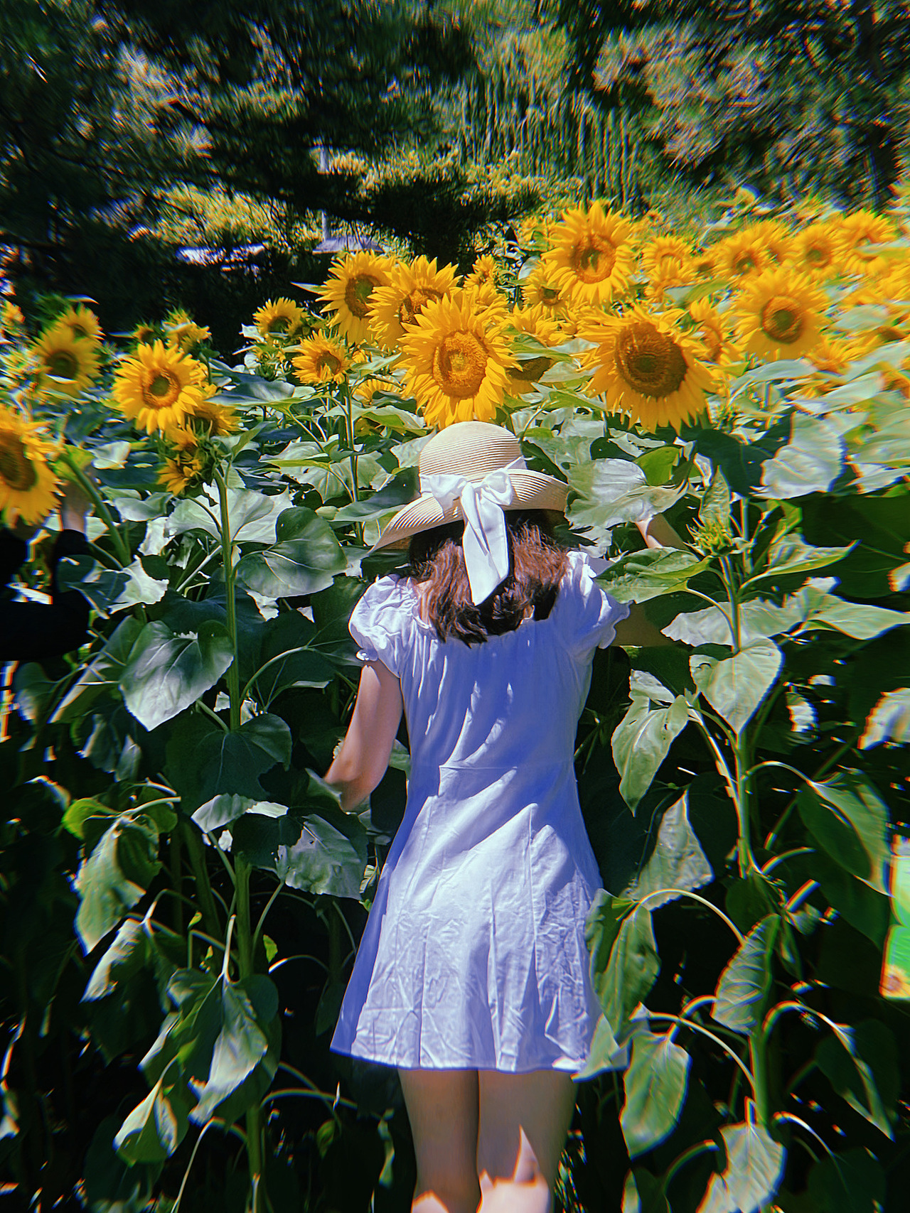 路过人间 无非一瞬间（图ZMjYxNDI2MDA4） - 人像摄影 - 站酷设计师Cecilia33原创素材 - 站酷ZCOOL