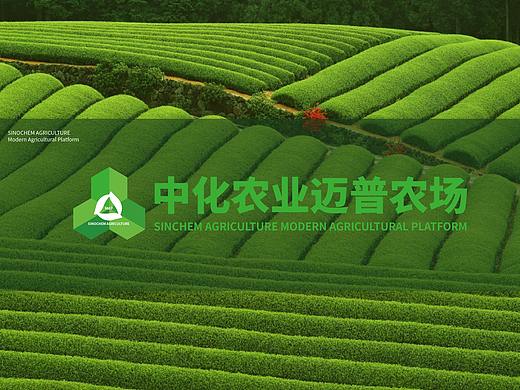 中化农业迈普（map）农场主题标识（logo）设计作品