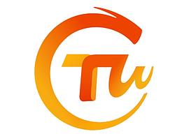 中国台湾网标志设计