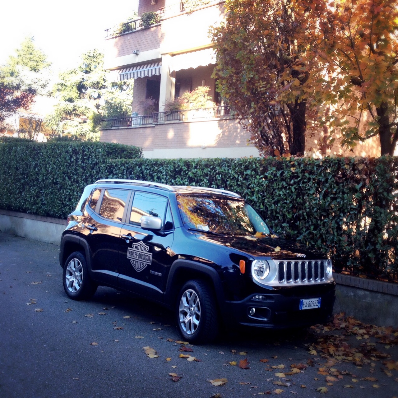 意大利/ 秋:maple_leaf: