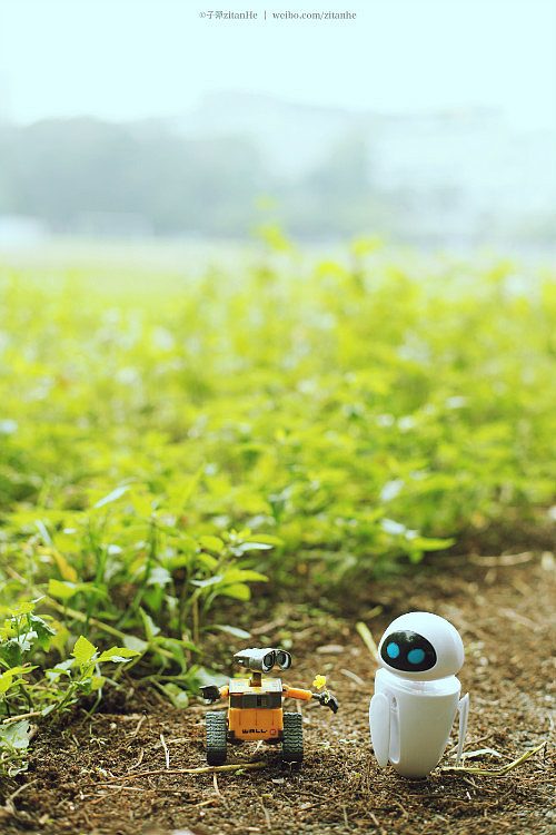 下个，路口，见。（图ZMTY0NzE3MjA=） - 人文/纪实摄影 - 站酷设计师子弹zitanhe原创素材 - 站酷ZCOOL