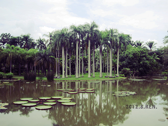 彩云之南（图ZNTQwMTQwNjQ=） - 风光摄影 - 站酷设计师無邉原创素材 - 站酷ZCOOL