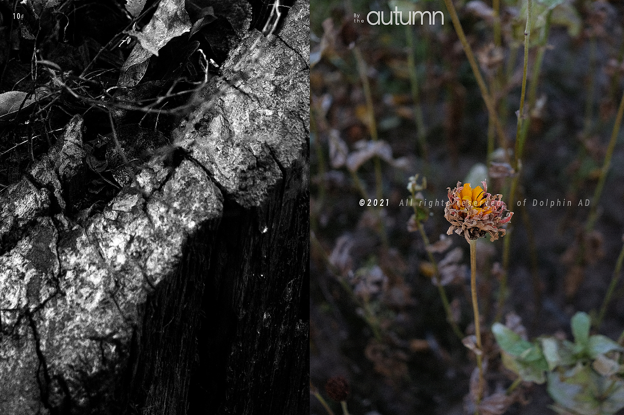 路过秋天/By the autumn（图ZMjc0MjA4MTIw） - 风光摄影 - 站酷设计师一只叫阿德的海豚原创素材 - 站酷ZCOOL