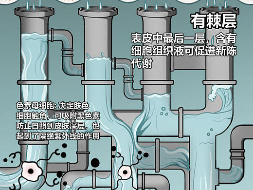 做了一个关于肌肤的长图