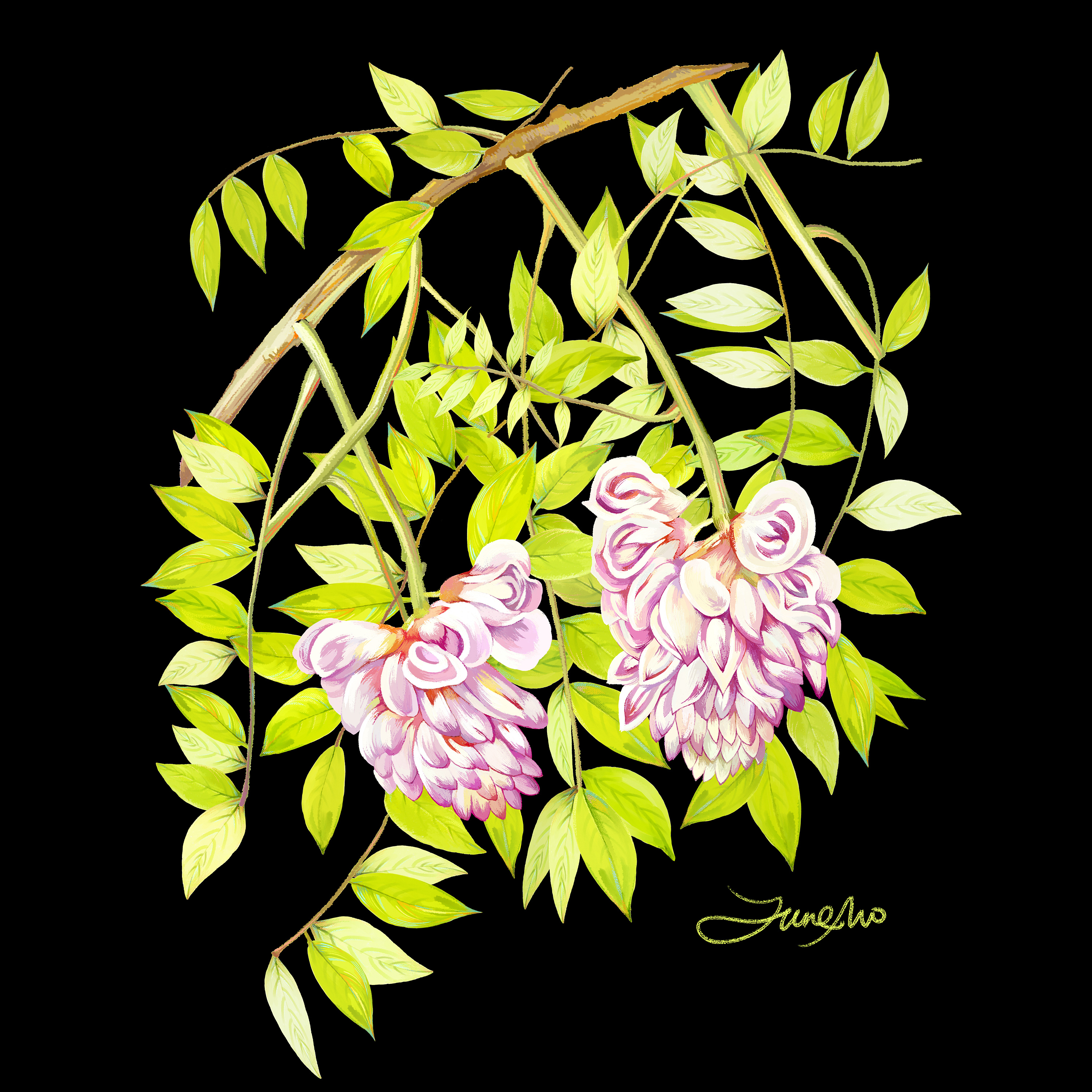 手绘花卉 艺术画 博物杂志复古风