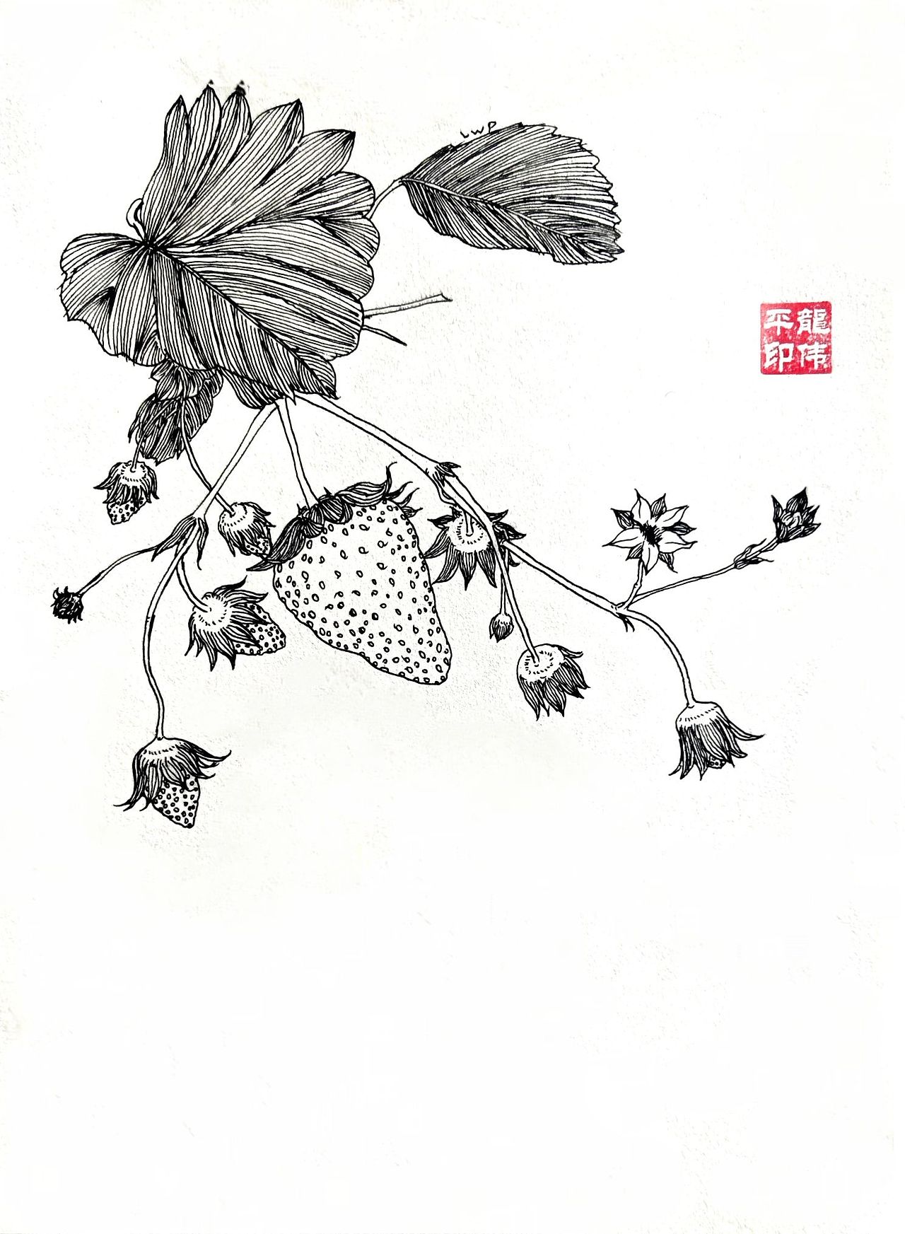 《百草记》系列插画（图ZMzYzNDY5NTY4） - 艺术插画 - 站酷设计师龙伟平原创素材 - 站酷ZCOOL