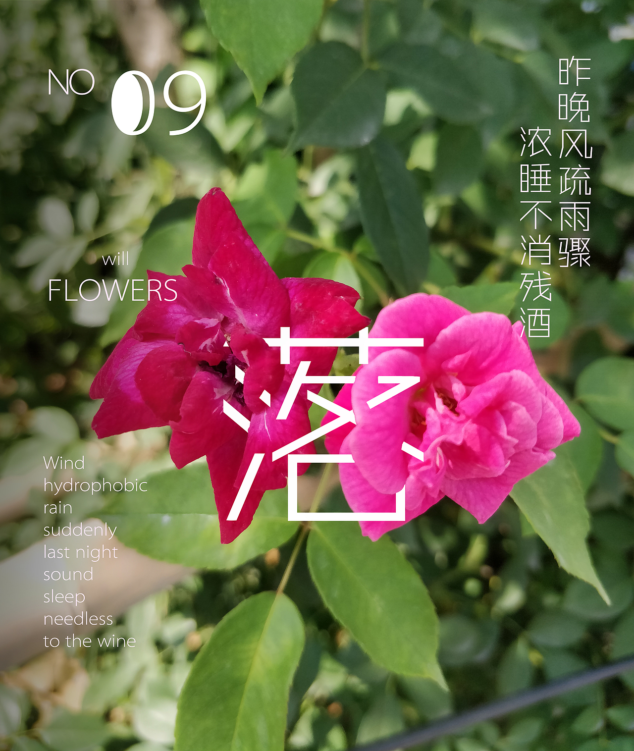 雨后却斜阳，杏花零落香（图ZMTE4MjQ5NTM2） - 产品摄影 - 站酷设计师胡虎虎胡红原创素材 - 站酷ZCOOL