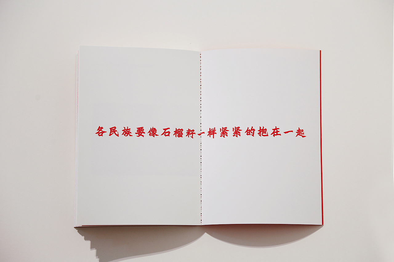 #2021青春答卷#石榴 形·意（图ZMjU3ODU0NzIw） - 其他 - 站酷设计师央美设计学院原创素材 - 站酷ZCOOL