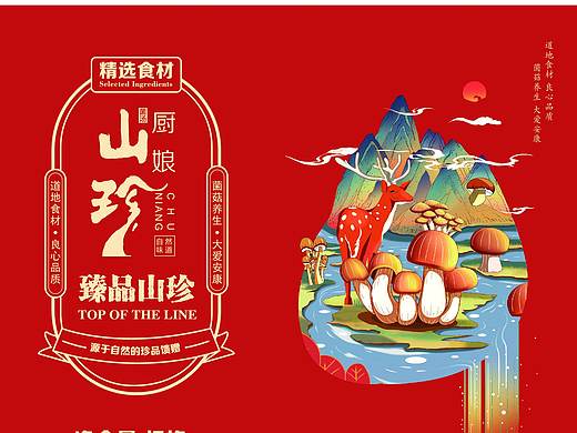 山珍包装设计提案