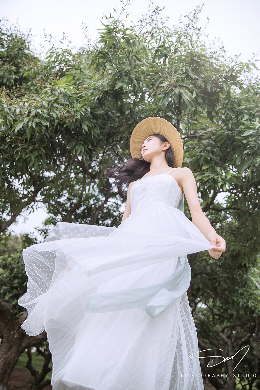 『梦之森』