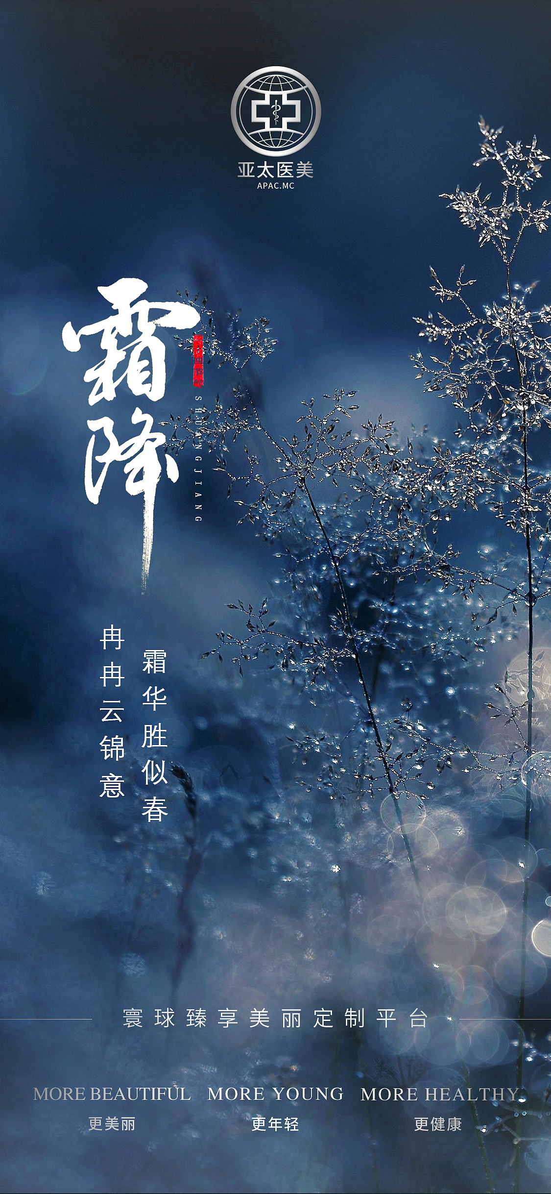 霜降海报-飞机稿