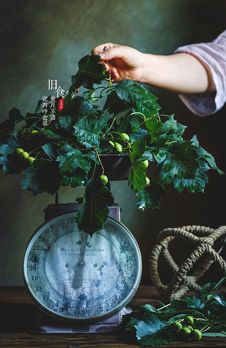 旧食｜一组复古绿（图ZMjY2Mzk5MTI4） - 美食摄影 - 站酷设计师旧食原创素材 - 站酷ZCOOL