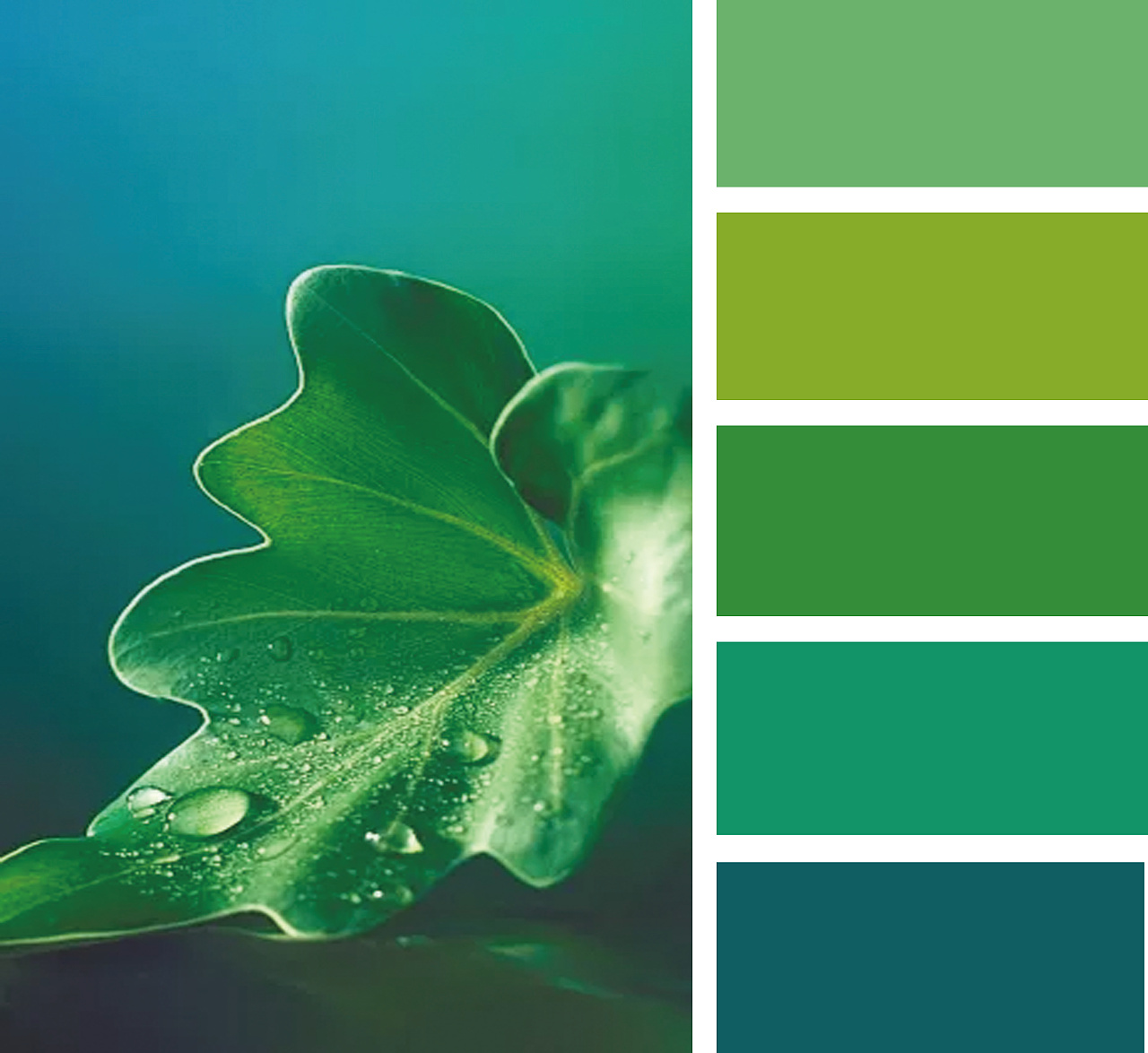 配色|平面|其他平面|z13940748 - 原创作品 - 站酷 (zcool)