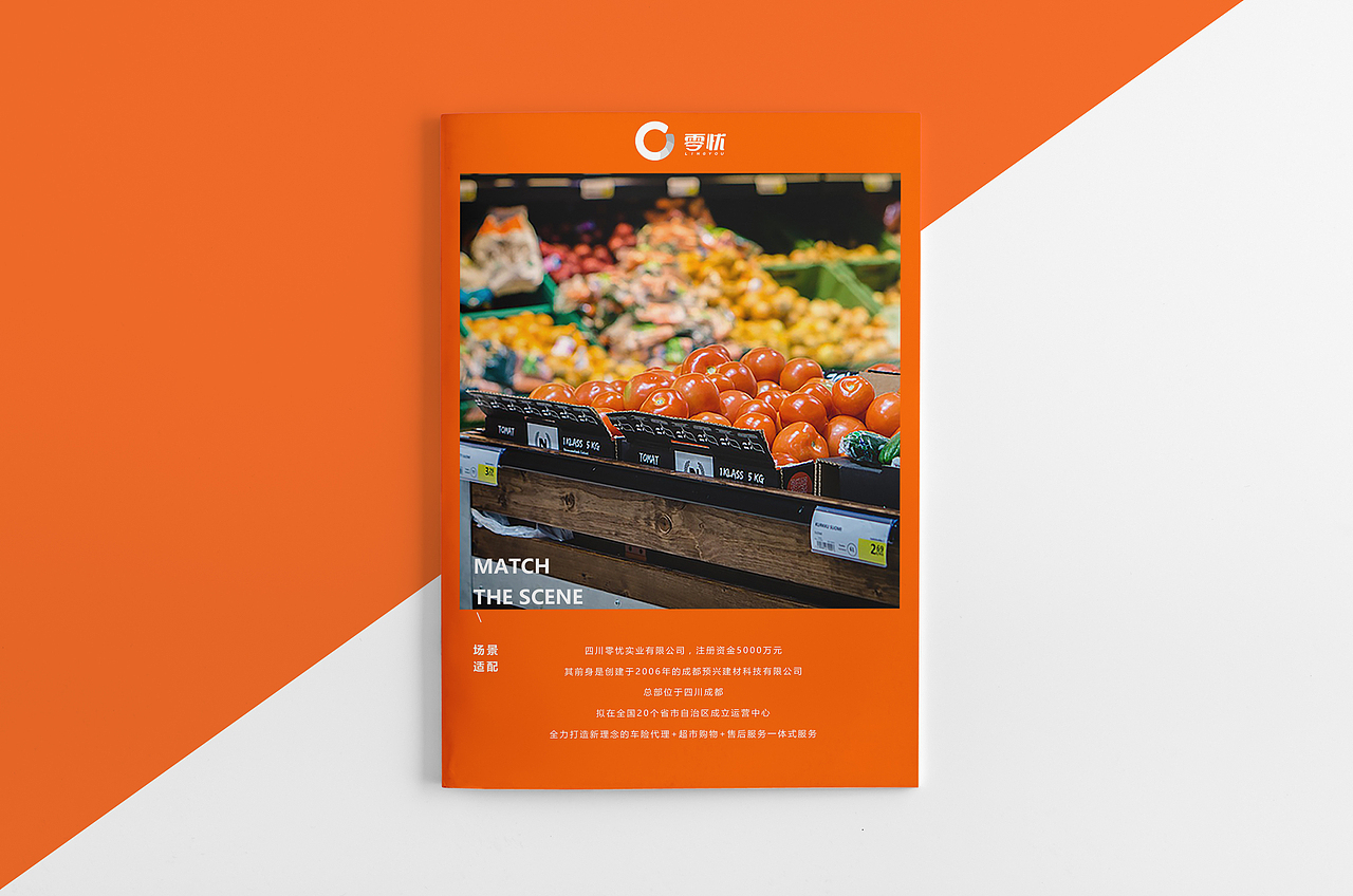 零忧LOGO提案（图ZNzc1MjU5MjQ=） - Logo - 站酷设计师春华秋实策略设计原创素材 - 站酷ZCOOL