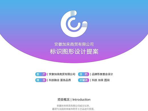 【图形设计】某公司LOGO设计