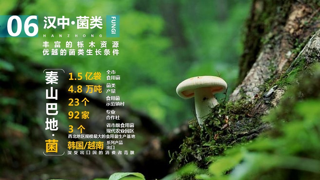 汉中推介PPT（图ZMjExOTQ0ODUy） - PPT/Keynote - 站酷设计师2031000743原创素材 - 站酷ZCOOL