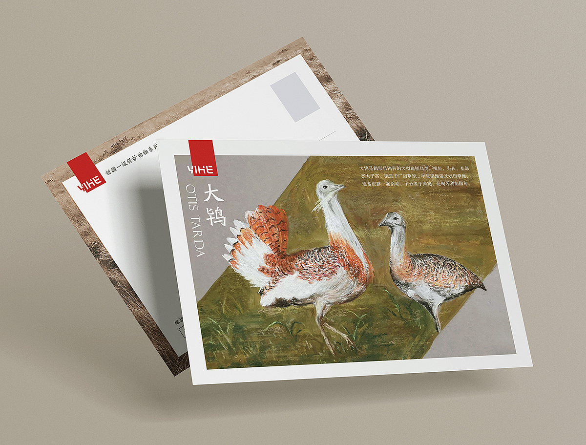 新疆野生保护动物明信片