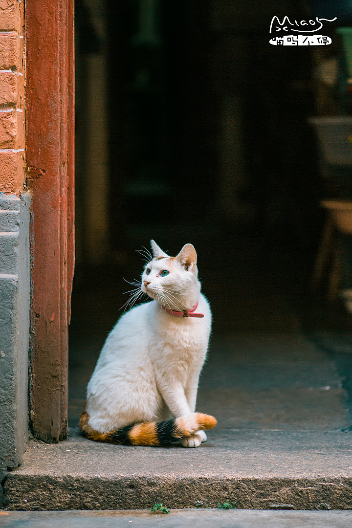 等候等候,良人为何不来~