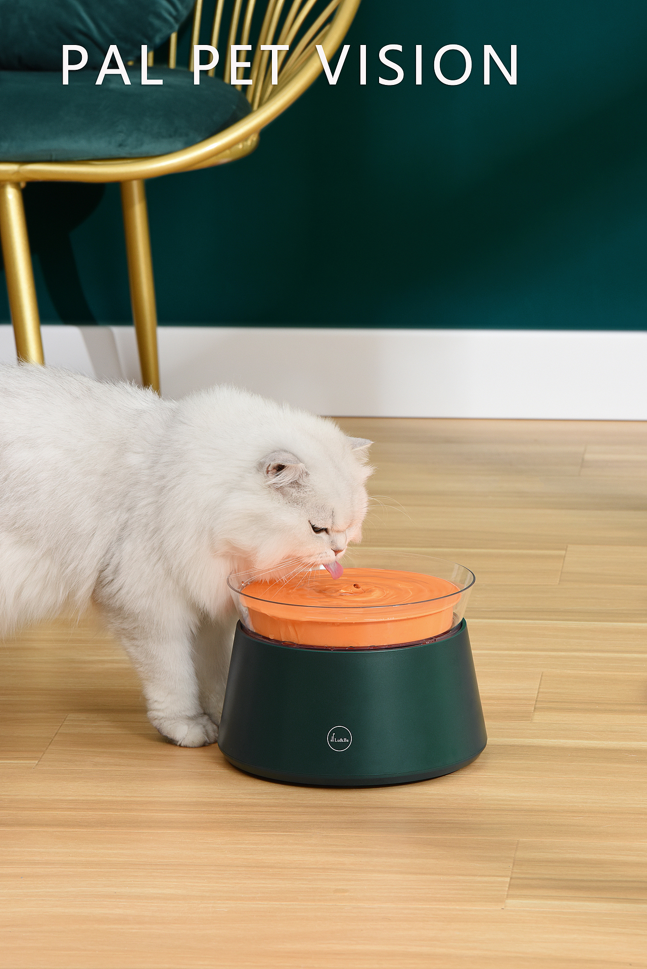 宠物用品/宠物产品摄影|珀珀宠影出品（图ZMjYyMDM3NjE2） - 产品摄影 - 站酷设计师珀珀视觉原创素材 - 站酷ZCOOL