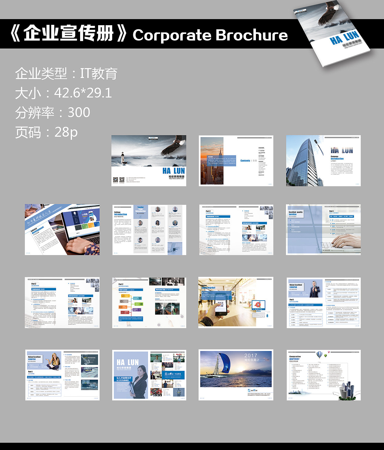 企业宣传册（it教育）（图ZNzQxMzQzNjQ=） - 书籍/画册 - 站酷设计师一夕如是原创素材 - 站酷ZCOOL