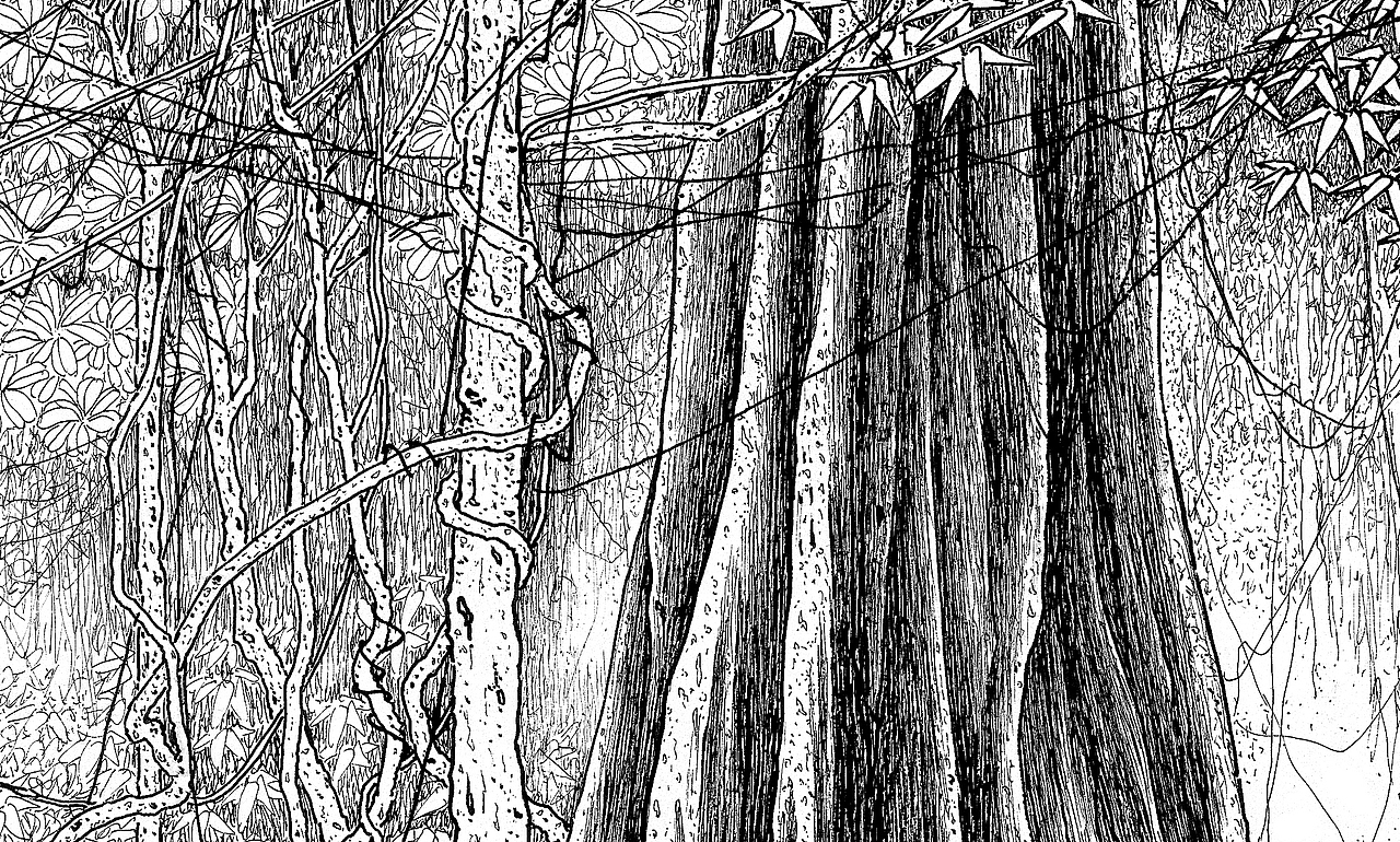 写生西双版纳原始森林线描选