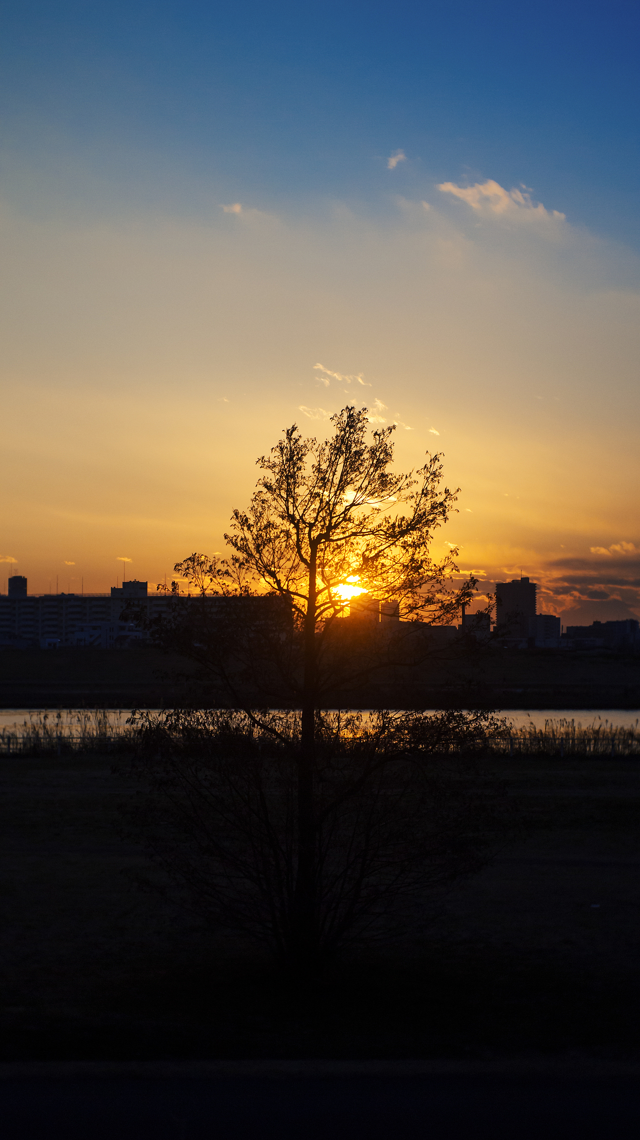 日本东京荒川落日散步