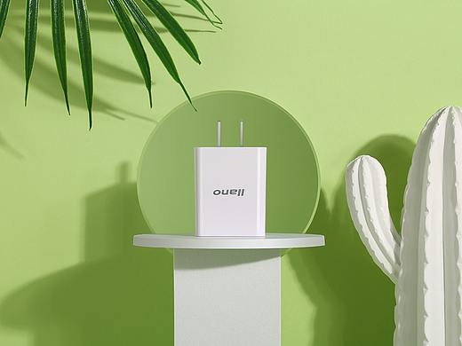 充电头—绿巨能