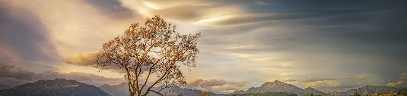 Kelvinwang的个人主页（封面预览） - 主页封面设置 - 站酷设计师Kelvinwang原创素材 - 站酷ZCOOL