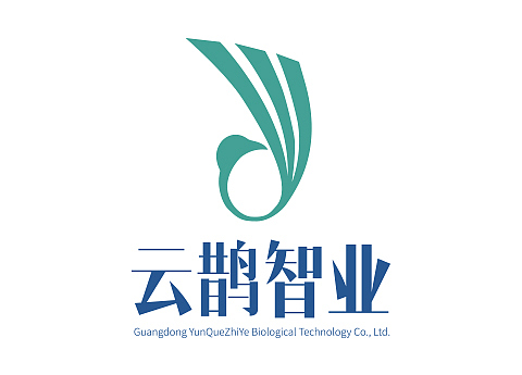 云雀智业-概念商业计划案