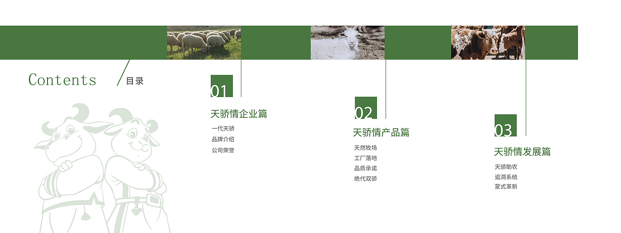 天骄情项目总结