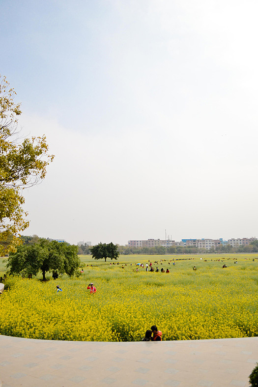 莲花池，品油菜~（图ZNDk4NzQzNg==） - 风光摄影 - 站酷设计师yestin原创素材 - 站酷ZCOOL